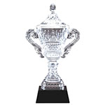 Championship Trophy